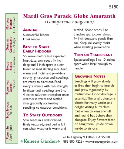 Renee's Garden Globe Amaranth Mardi Gras Parade (Heirloom) 7 Renee's Garden Globe Amaranth Mardi Gras Parade (Heirloom) - Image 7