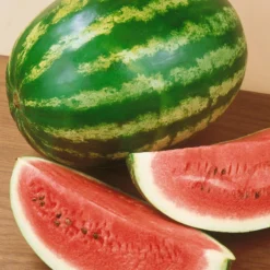 Crimson Sweet Watermelon Seeds (Organic) 5 Crimson Sweet Watermelon Seeds (Organic) -Flourish Seeds 440 watermelon crimson sweet web