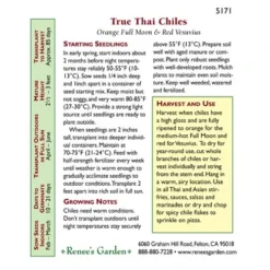 Renee's Garden Pepper Chile Thai Duo Orange Full Moon & Red Vesuvius 8 Renee's Garden Pepper Chile Thai Duo Orange Full Moon & Red Vesuvius -Flourish Seeds 5171 back