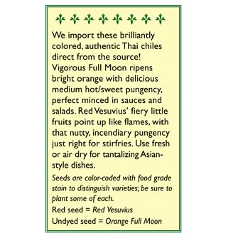 Renee's Garden Pepper Chile Thai Duo Orange Full Moon & Red Vesuvius 2 Renee's Garden Pepper Chile Thai Duo Orange Full Moon & Red Vesuvius - Image 2