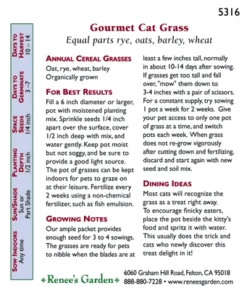 Renee's Garden Cat Treats Gourmet Mixed Greens -Flourish Seeds 5316 pb