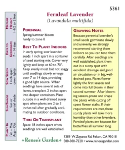 Renee's Garden Lavender Fernleaf 5 Renee's Garden Lavender Fernleaf -Flourish Seeds 5361 pb