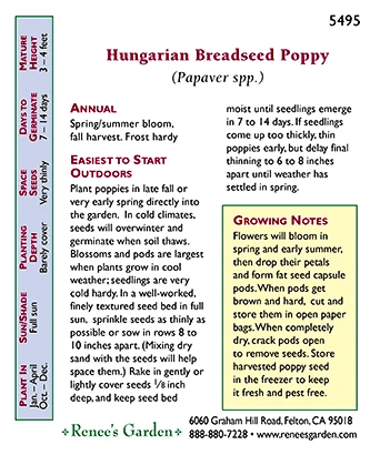 Renee's Garden Poppy Hungarian Breadseed 3 Renee's Garden Poppy Hungarian Breadseed - Image 3