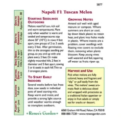 Renee's Garden Melon Tuscan Napoli 6 Renee's Garden Melon Tuscan Napoli -Flourish Seeds 5877 pb