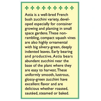 Renee's Garden Squash Summer Zucchini Astia 2 Renee's Garden Squash Summer Zucchini Astia - Image 2