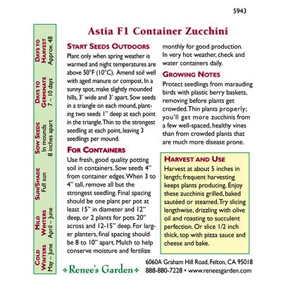 Renee's Garden Squash Summer Zucchini Astia 3 Renee's Garden Squash Summer Zucchini Astia - Image 3