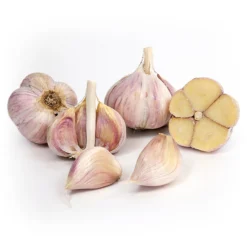 Organic Garlic, German White (lb)