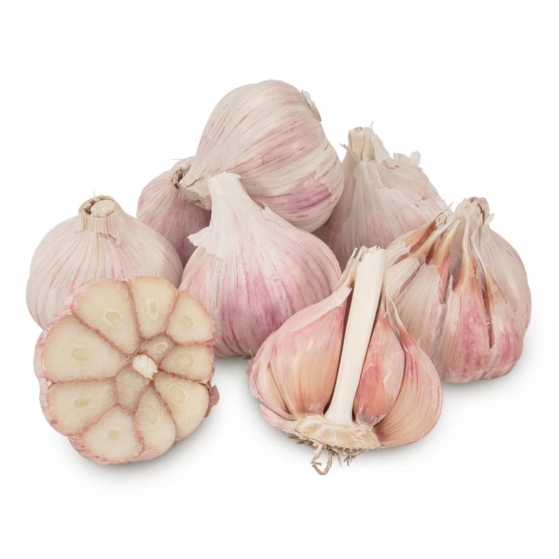 Organic Garlic, Red Chesnok (lb) 1 Organic Garlic, Red Chesnok (lb)
