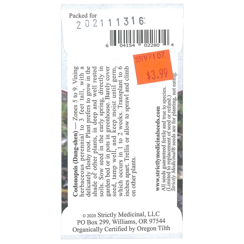 Strictly Medicinal Organic Dang-shen Pilosula 2 Strictly Medicinal Organic Dang-shen Pilosula - Image 2