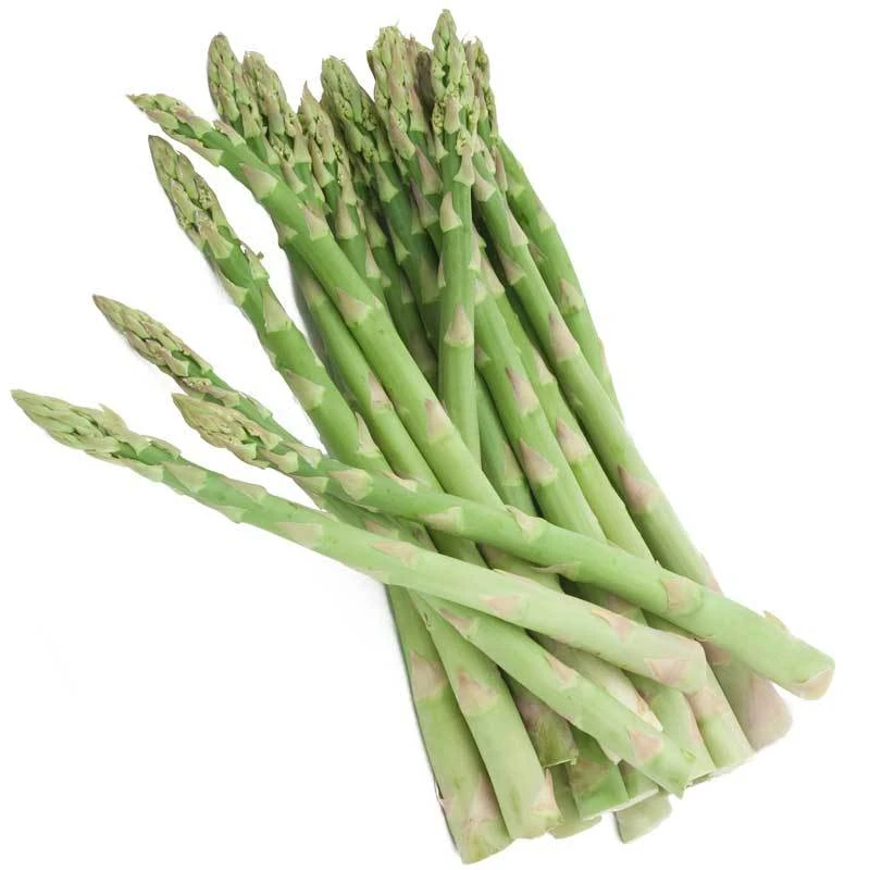 Asparagus Jersey Knight 1 Asparagus Jersey Knight