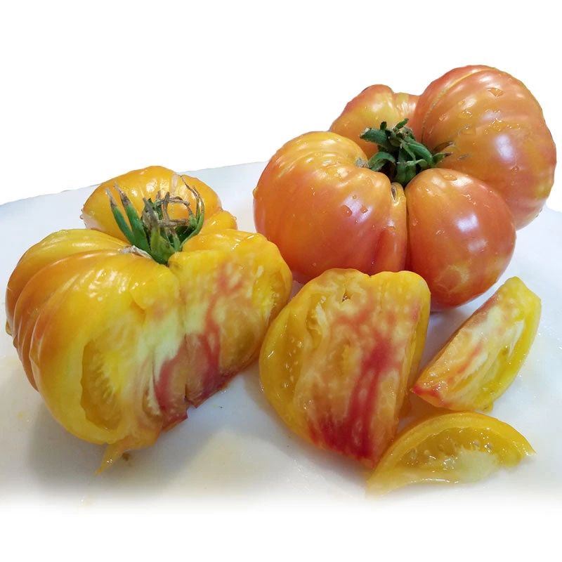 Big Rainbow Tomato Seeds (Organic) 2 Big Rainbow Tomato Seeds (Organic) - Image 2