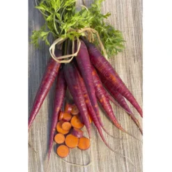 Cosmic Purple Carrot Seeds (Organic) -Flourish Seeds carrot cosmic purple 1