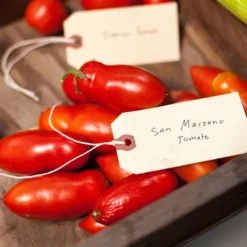 San Marzano Tomato Seeds (Organic) 5 San Marzano Tomato Seeds (Organic) -Flourish Seeds expo 0300 3 2