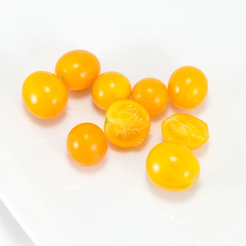 Gold Nugget Tomato Seeds (Organic) 2 Gold Nugget Tomato Seeds (Organic) - Image 2