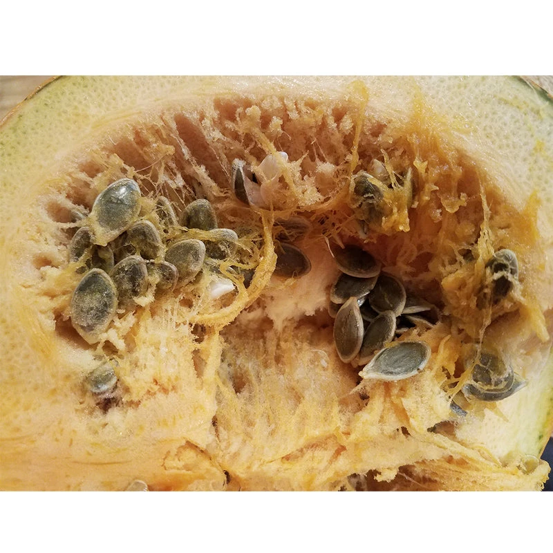 Kakai (Hull-Less) Pumpkin Seeds (Organic) 3 Kakai (Hull-Less) Pumpkin Seeds (Organic) - Image 3