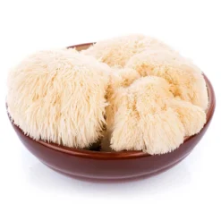 Lion's Mane Mushroom Kit