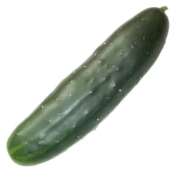 Marketmore 76 Cucumber Seeds (Organic) -Flourish Seeds marketmore web