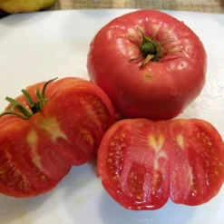 Mortgage Lifter Tomato Seeds (Organic) 7 Mortgage Lifter Tomato Seeds (Organic) -Flourish Seeds mortgage lifter web sliced