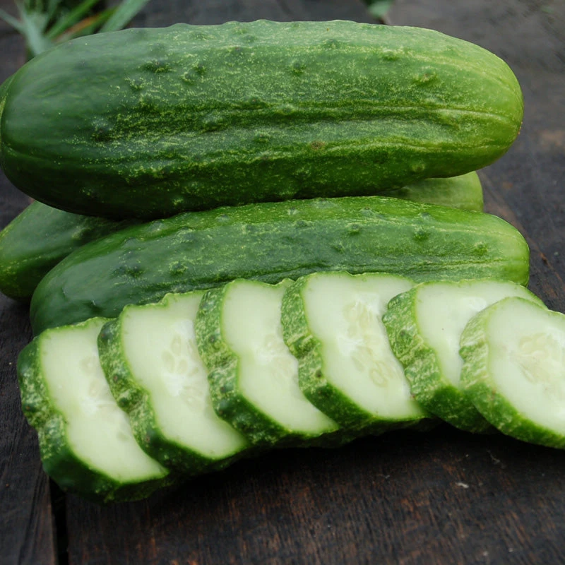 National Pickling Cucumber Seeds (Organic) 2 National Pickling Cucumber Seeds (Organic) - Image 2