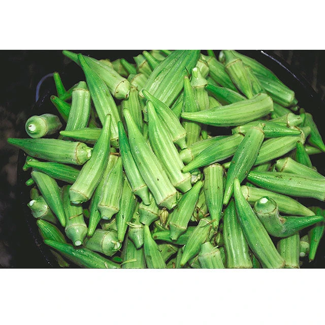 Clemson Spineless 80 Okra Seeds (Organic) 2 Clemson Spineless 80 Okra Seeds (Organic) - Image 2