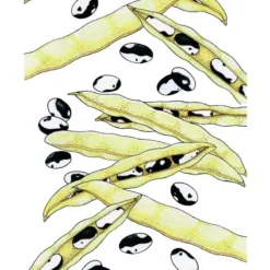 Organic Bean, Bush Orca (1/2 Lb)