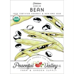 Orca Bush Bean Seeds (Organic)