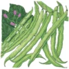Organic Bean, Bush Tendergreen (1/2 Lb)