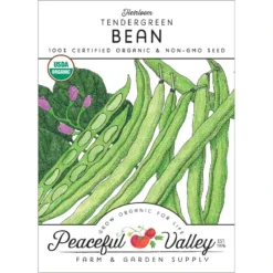 Tendergreen Bush Bean Seeds (Organic)