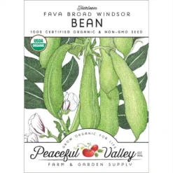 Broad Windsor Fava Bean Seeds (Organic)