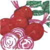 Organic Beet, Chioggia (1/4 Lb)