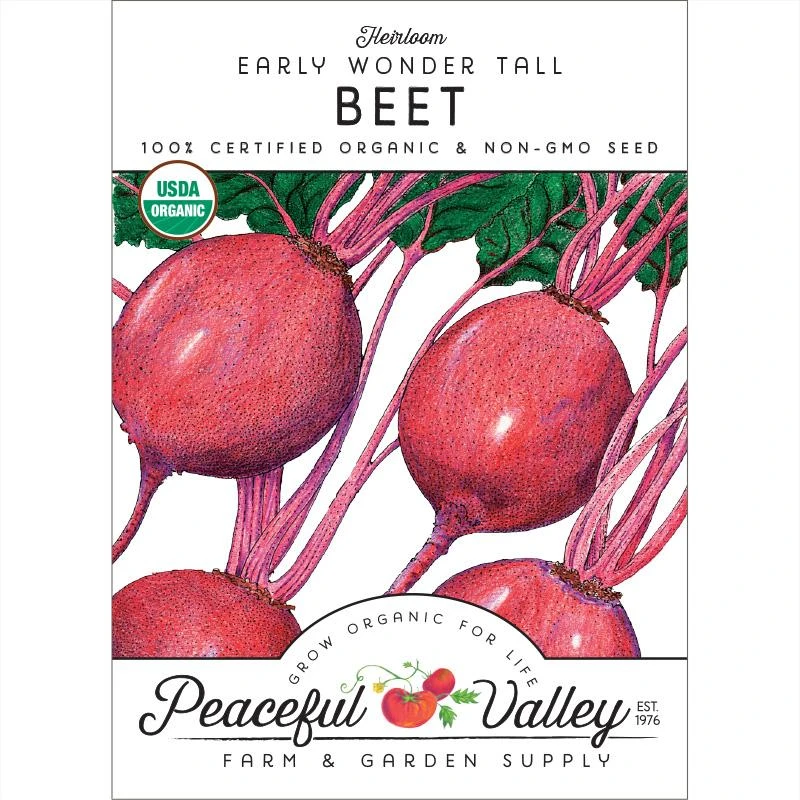 Early Wonder Tall Beet Seeds (Organic) 1 Early Wonder Tall Beet Seeds (Organic)