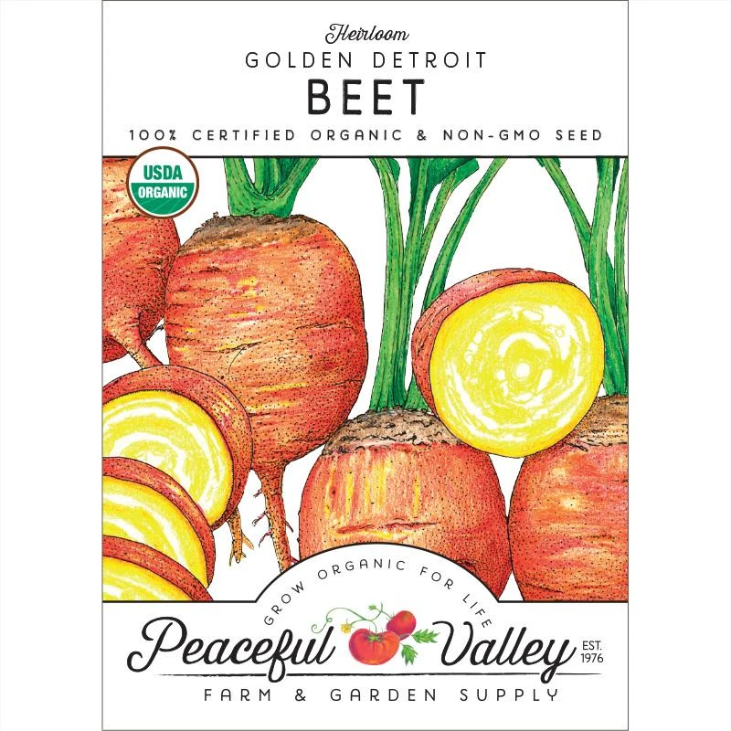 Golden Detroit Beet Seeds (Organic) 1 Golden Detroit Beet Seeds (Organic)