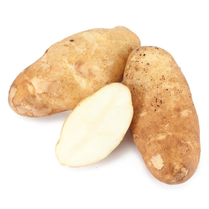 Burbank Russet Potato (Organic) 1 Burbank Russet Potato (Organic)