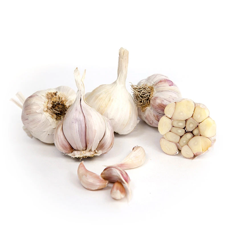 Organic Garlic, California Late White (lb) 1 Organic Garlic, California Late White (lb)