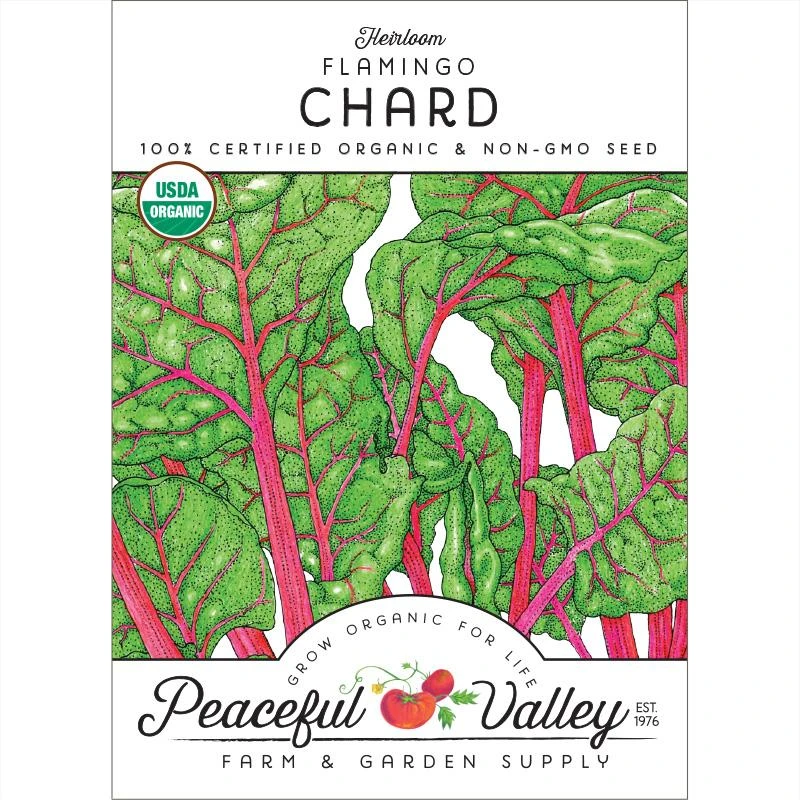 Flamingo Pink Chard Seeds (Organic) 1 Flamingo Pink Chard Seeds (Organic)
