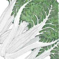 Organic Chard, Fordhook Giant (1/4 Lb)