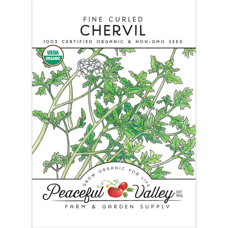Organic Chervil, Fine Curled 1 Organic Chervil, Fine Curled
