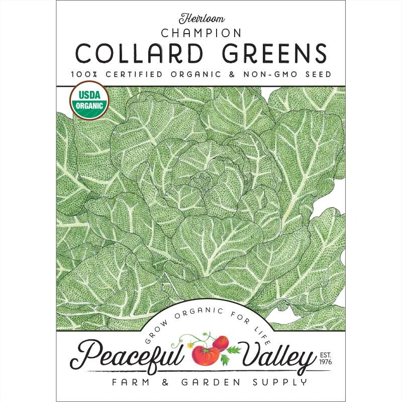 Champion Collard Green Seeds (Organic) 1 Champion Collard Green Seeds (Organic)