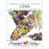 Cherokee Long Ear Popcorn Corn Seeds (Organic)