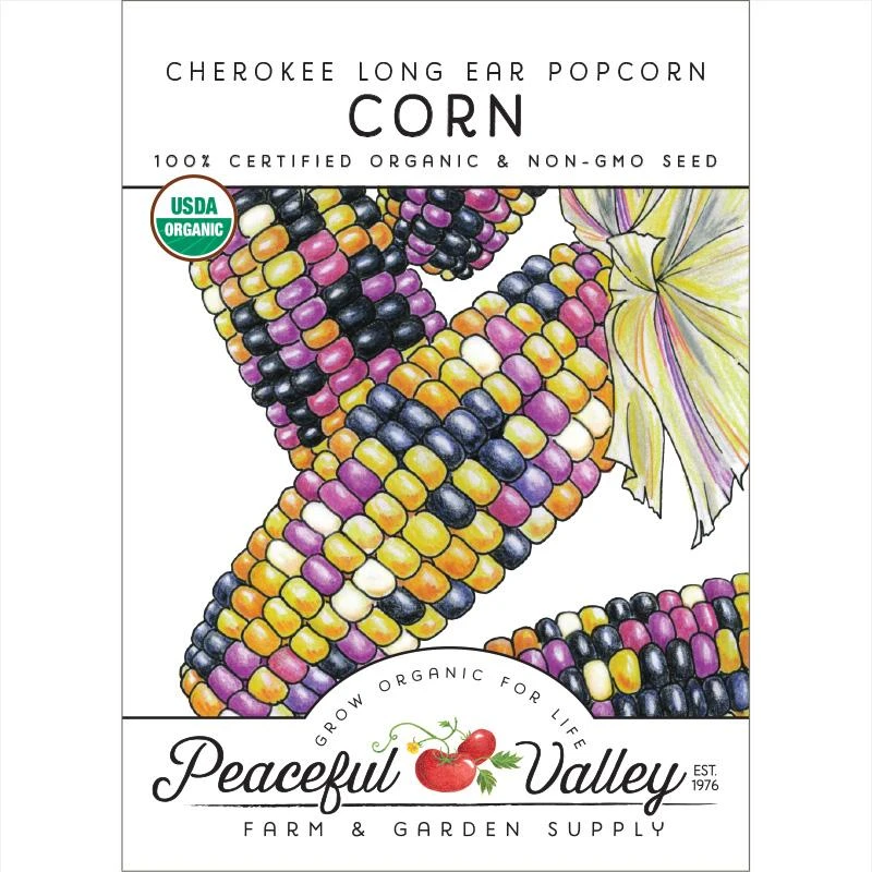 Cherokee Long Ear Popcorn Corn Seeds (Organic) 1 Cherokee Long Ear Popcorn Corn Seeds (Organic)