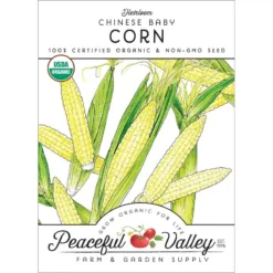 Chinese Baby Corn Seeds (Organic)