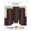 Dakota Black Popcorn Corn Seeds (Organic)
