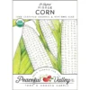 Mirage Corn Seeds (Organic)