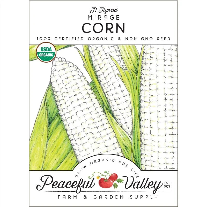Mirage Corn Seeds (Organic) 1 Mirage Corn Seeds (Organic)
