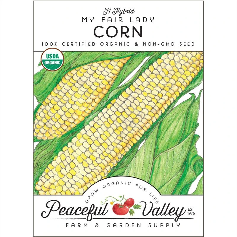 My Fair Lady Corn Seeds (Organic) 1 My Fair Lady Corn Seeds (Organic)