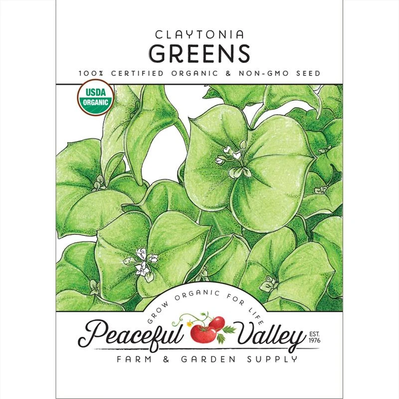 Claytonia Greens Seeds (Organic) 1 Claytonia Greens Seeds (Organic)