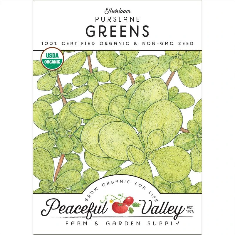 Purslane Greens Seeds (Organic) 1 Purslane Greens Seeds (Organic)