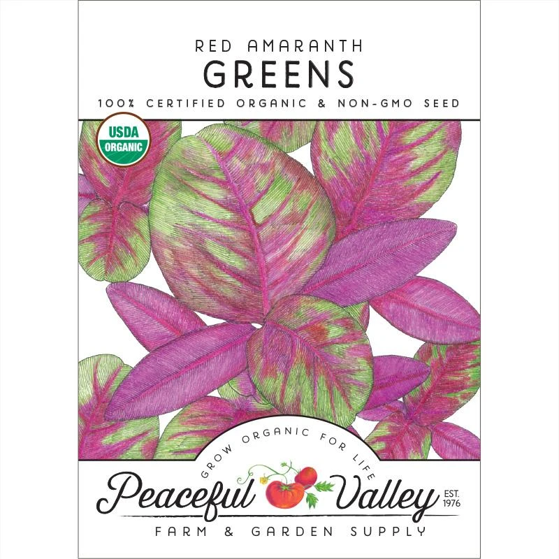 Red Amaranth Greens Seeds (Organic) 1 Red Amaranth Greens Seeds (Organic)