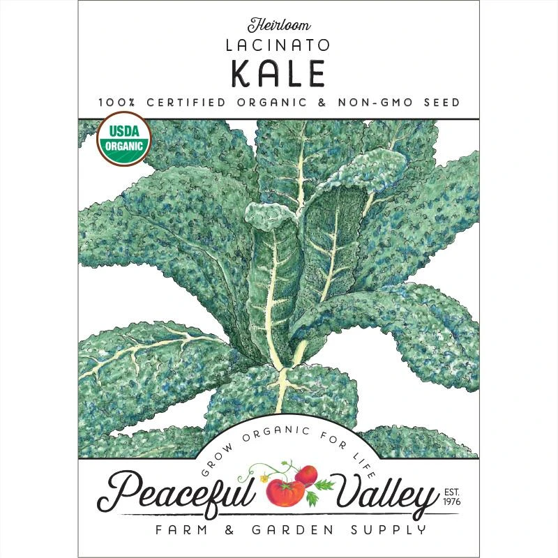 Lacinato Kale Seeds (Organic) 1 Lacinato Kale Seeds (Organic)