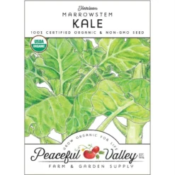 Marrowstem Kale Seeds (Organic)